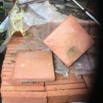 Norfolk Floor Pamates
